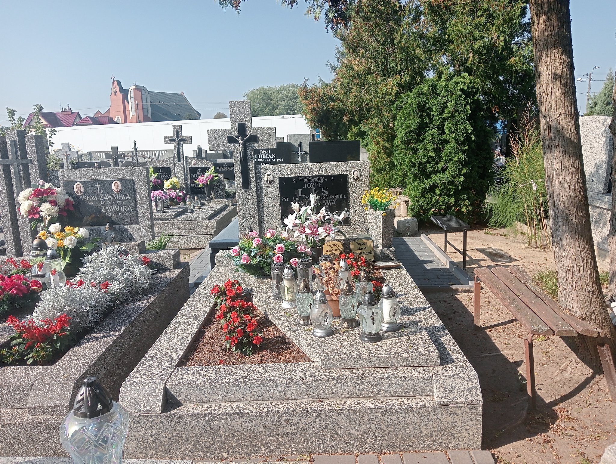 Grób Władysława Lis